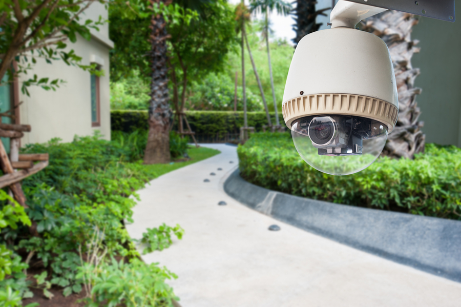 Cover Your Blind Spots with a Security Solution That Works